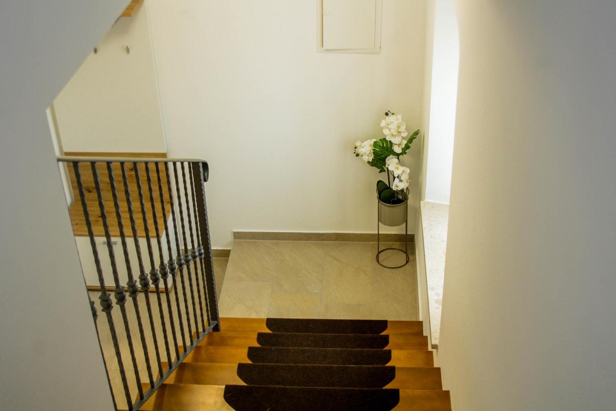 Holiday Home Zora Višnjan Extérieur photo